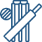 cricket image